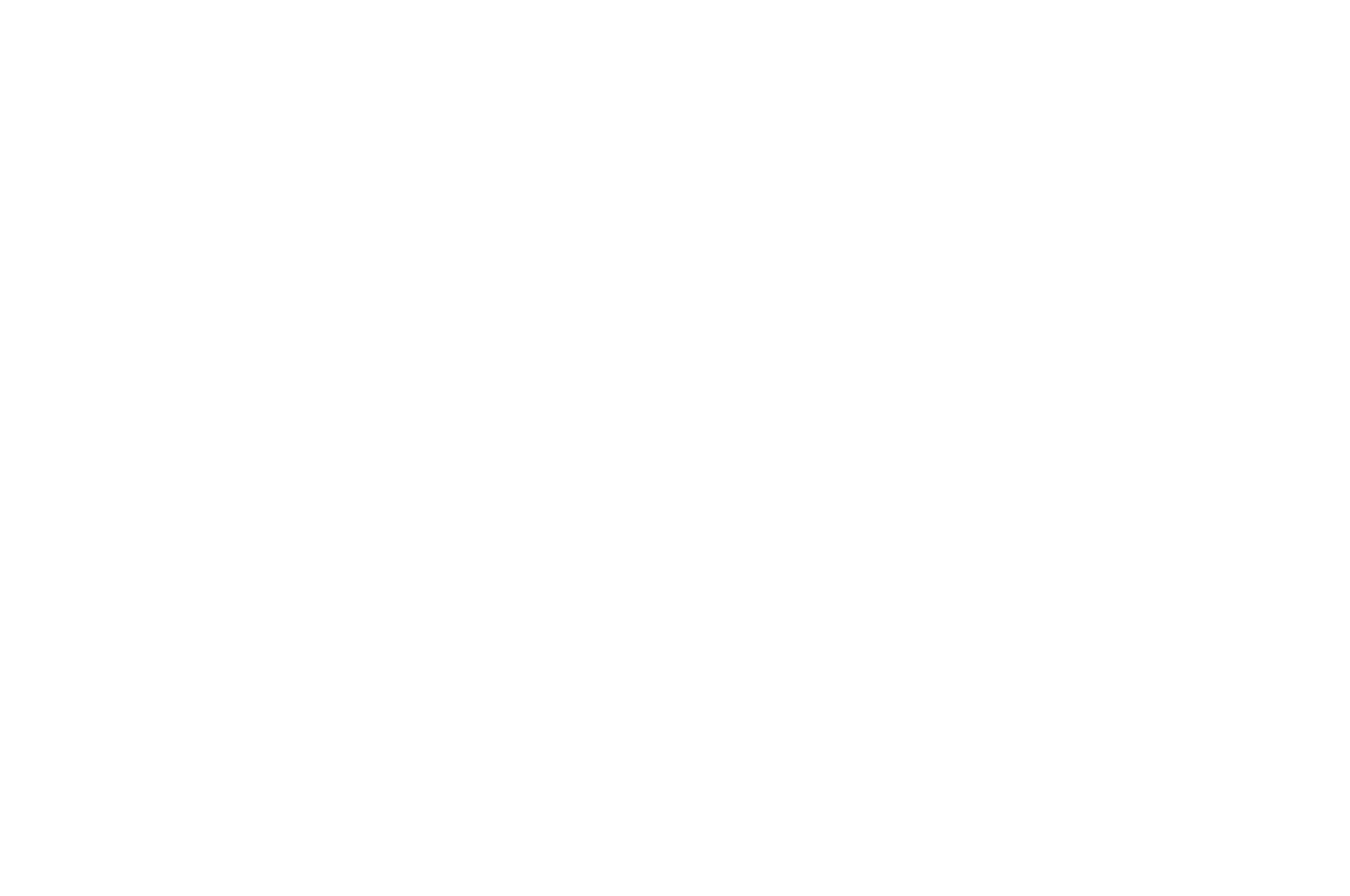 Family Film Festival